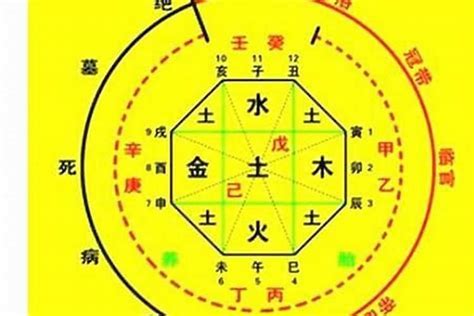 八字神數|生辰八字算命、五行喜用神查詢（免費測算）